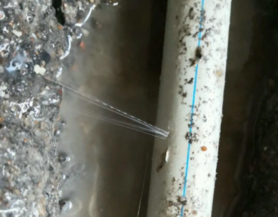 点军测漏水哪家好