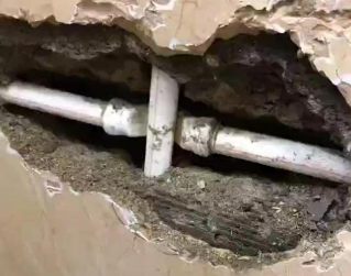 点军测漏水哪家好