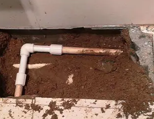 点军测漏水哪家好