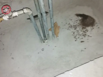 点军卫生间测漏水价格明细