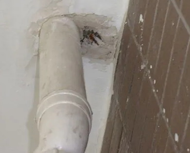 点军漏水检测哪家好